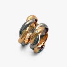 <div class="fancy-desc"><div class="fancy-desc-left"><span class="secondary label radius">wedding rings</span> <span class="secondary label radius">bicolours</span></div><div class="fancy-desc-right"><div class='fb-share-button' data-href='https://www.cf-creation.ch/en/2009_07_asa2009_24/' data-layout='button' data-size='small' data-mobile-iframe='true'></div></div></div>